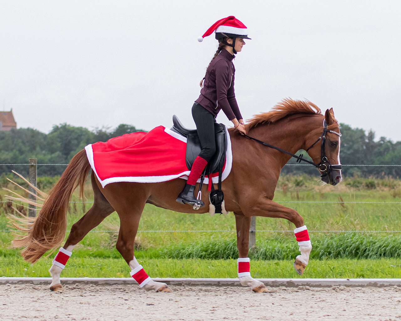 Christmas hat